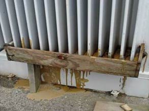 Transformer paint coating removed due to cattle and exposed to corrosion Transformer paint coating removed due to cattle and exposed to corrosion